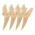 4 Pcs Shark Tooth Specimen Fossilized Shark Tooth Shark Teeth Holder