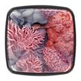 thumbnail image 1 of 4 Pcs Square Cabinet Handle Drawer Pulls Coral Knobs with Screws Furniture Office Cabinet Knob Decoration, 1 of 7