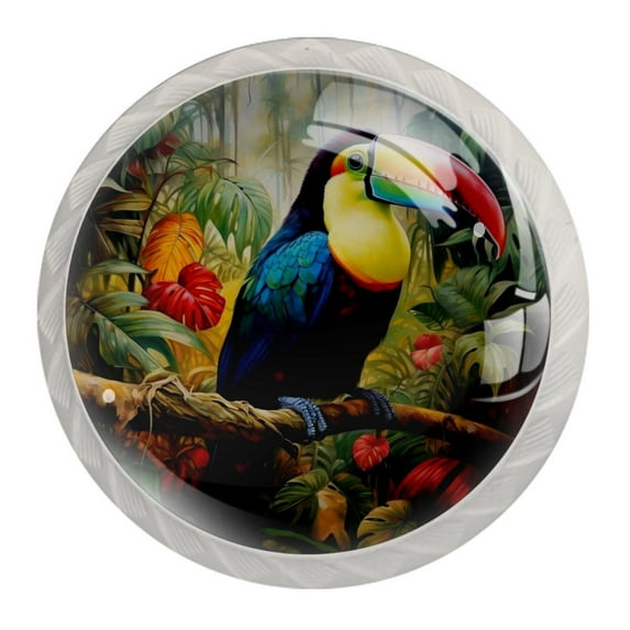 4 Pcs Toucan Knobs for Kitchen Cabinet Cupboard Dresser Bookcase Drawer Pulls Handles Round Home Decor