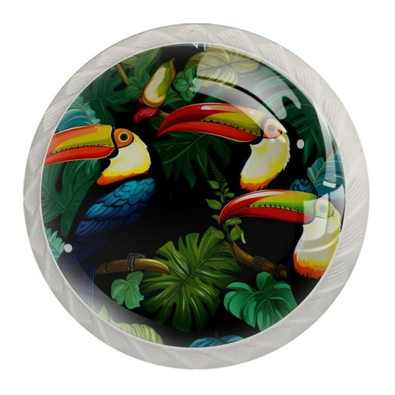 4 Pcs Toucan Knobs for Kitchen Cabinet Cupboard Dresser Bookcase Drawer Pulls Handles Round Home Decor