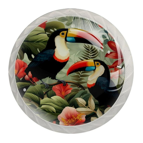 4 Pcs Toucan Knobs for Kitchen Cabinet Cupboard Dresser Bookcase Drawer Pulls Handles Round Home Decor