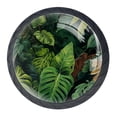 thumbnail image 1 of 4 Pcs Tropical Leaves Knobs for Kitchen Cabinet Cupboard Dresser Bookcase Drawer Pulls Handles Round Home Decor, 1 of 8