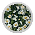 4 Pcs White Daisy Flowers Crystal Glass Drawer Knob Pull Handle