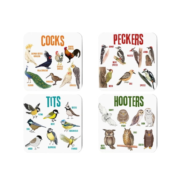 4-Piece Acrylic Bird Pun Coaster Set, Funny Animal Design Drink Mats for Cups Coffee Mugs, Heat Resistant Table Protector, Unique Home Bar Accessory, Clear Transparent Durable Kitchen Decor