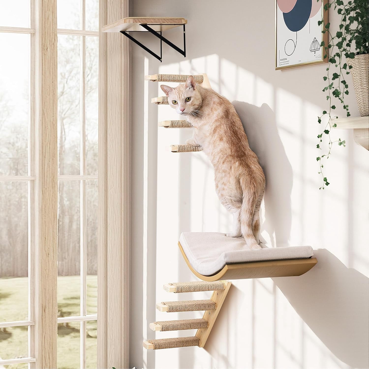 4-Piece Cats Wall Furniture with  Window Perch – Wood Wall Mounted  Shelves Set with Foam-Padded Curved Bed, Flat Perch & 4-Step Cats Stairs