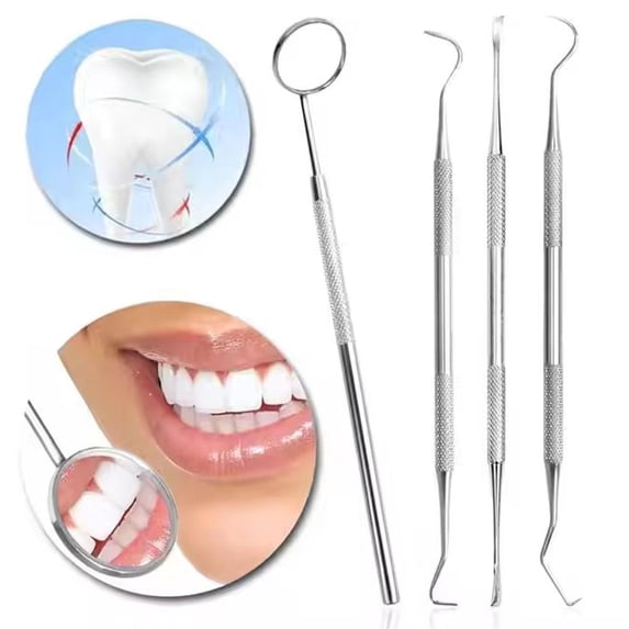 4-Piece Stainless Steel Dental Tools Set with Storage Case, Robust Plaque & Tartar Remover Kit, Sturdy Resilient Teeth Cleaning Tools for Home Oral Hygiene