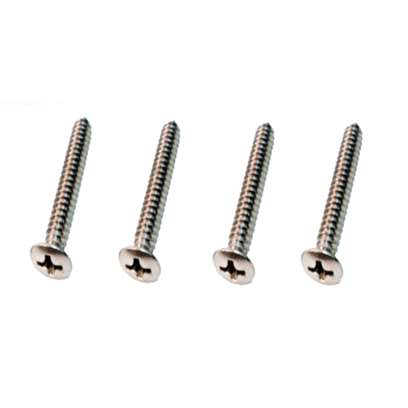 4 Piece Park Light Lens/Bezel Screw Set For 1970-1973 Pontiac Firebird Models