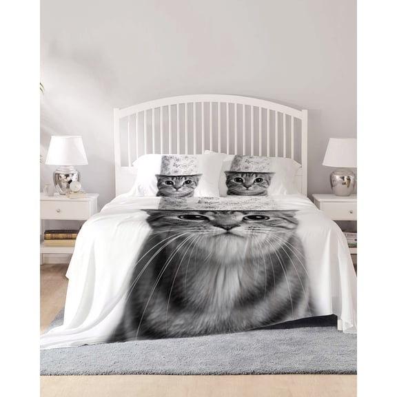 4 Piece Queen Sheet Set Cute Cat Sheets Set for Queen Size Bed, Breathable Soft Microfiber Bed Sheets Cooling Funny Animal Toilet Paper Abstract Art Fitted Sheet Deep Pocket, Pillowcases