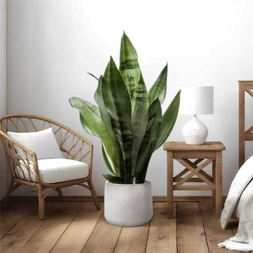 4 Pieces Ceramic Planters, 13.8 Inch American White Oak Modern Pots with Drainage Hole for Indoor Outdoor, Patio, Garden, Living Room, Windowsills