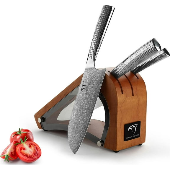 4 Pieces Damascus Kitchen Knife Set with Block, 8” Chef Knife, 7” Santoku Knife, 3.5” Paring Knife, 3 Slots Natural Wood Block, 67 Layer Handmade Damascus VG10 Steel Core, Hammered Ergonomic Handle