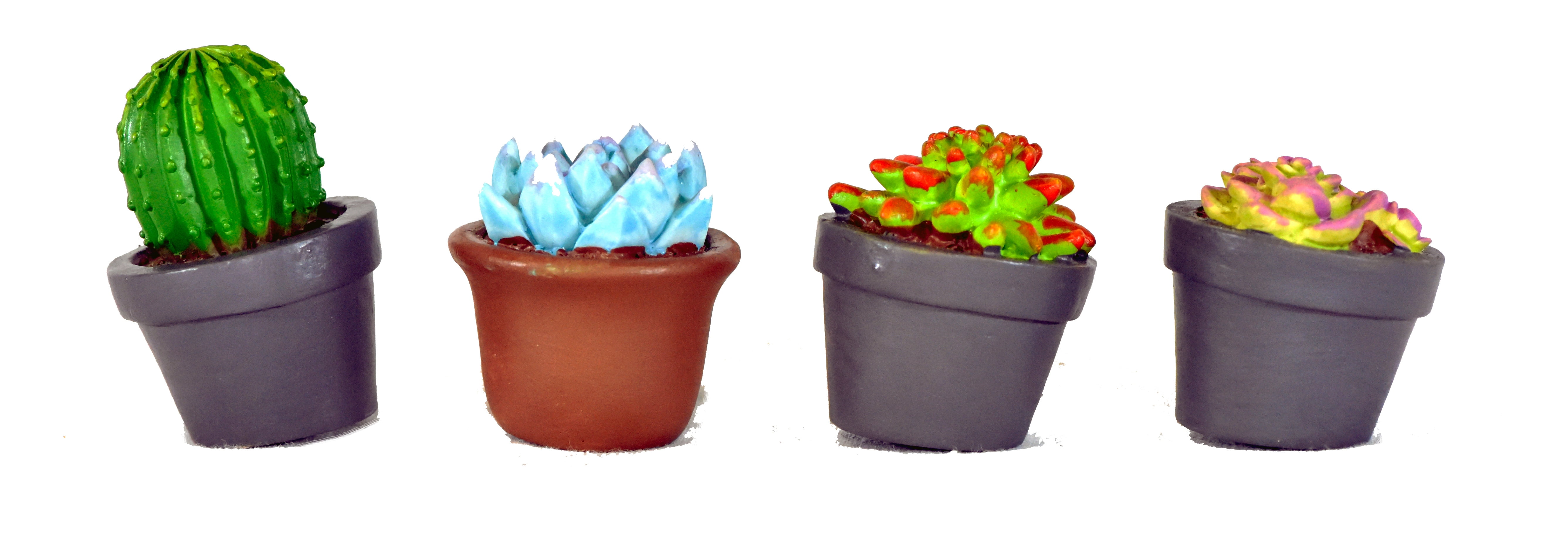 4-Pieces Mini Gardenn Fairy Garden Miniature Succulent Plants Set