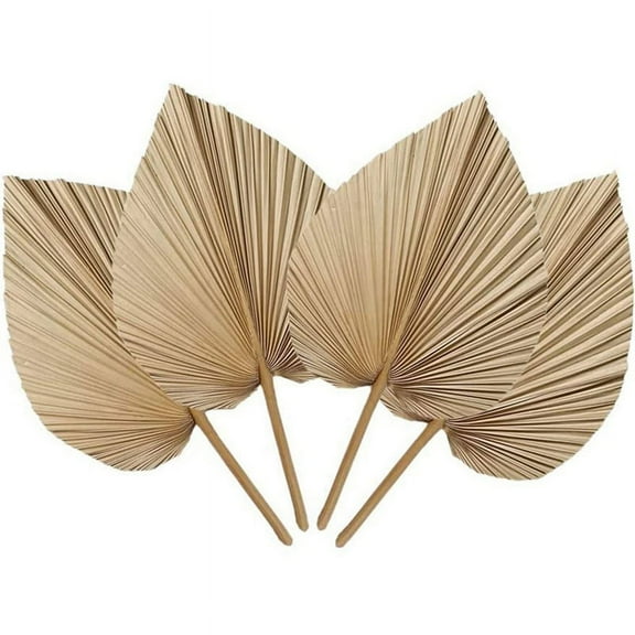 4 Pieces Natural Dried Palm Leaves are Perfect for Leaf Decor, Boho Home Wedding