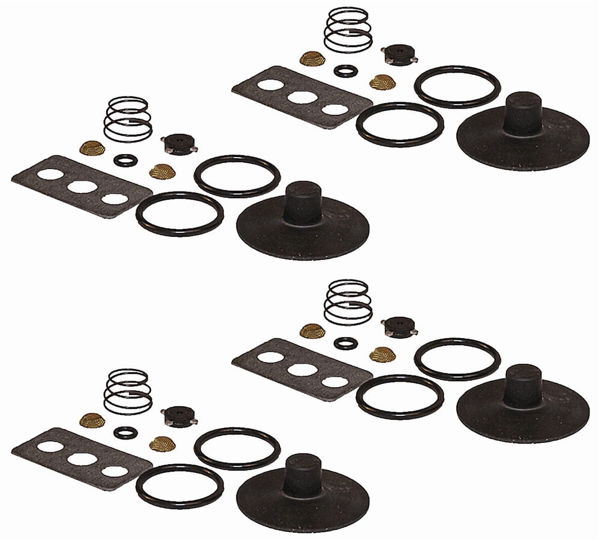 D2 Air Governor
