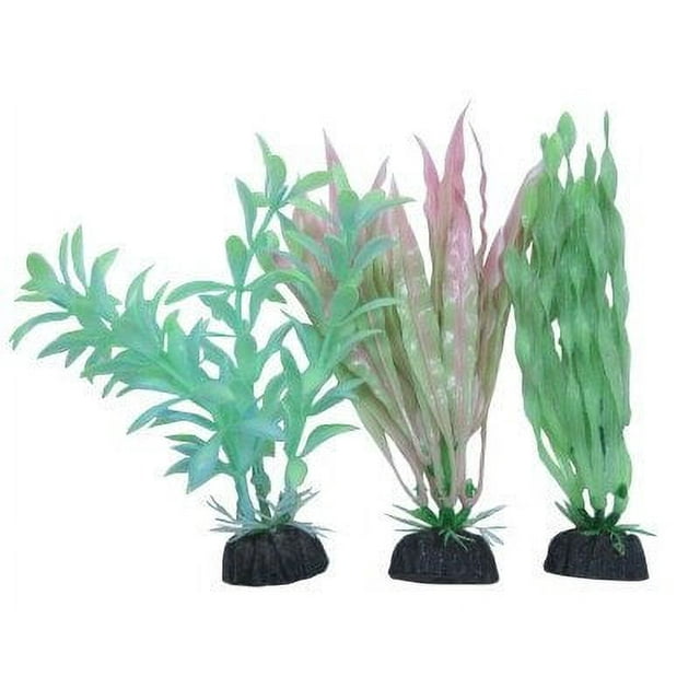 4" Plants - Glow Pla