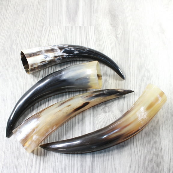 4 Polished Cow Horns #1055 Natural colored