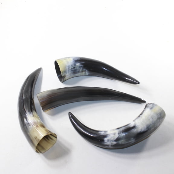 4 Polished Cow Horns #2733 Natural colored