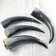 thumbnail image 1 of 4 Polished Cow Horns #3955    Natural colored, 1 of 4