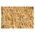 4 Pounds Natural Wheat Straw for Animal Bedding, Garden Mulch, Compost
