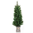 thumbnail image 1 of 4' Pre-Lit Potted Artificial Concord Pine Christmas Tree - Clear Lights, 1 of 2