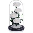 thumbnail image 1 of 4 Preserved Flowers in Glass Dome - Roses Gift for Her - Birthday Flowers for Women, White, 1 of 5