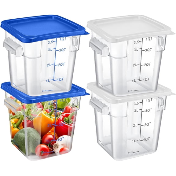 4 Qt Clear Food Storage Containers with Lids and Scale Handle in White and Blue