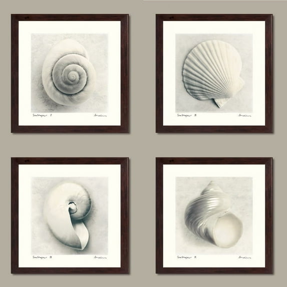 4 Sea Shapes Seashell Set; Coastal Décor, Four 8 by 8-Inch Brown Framed Prints
