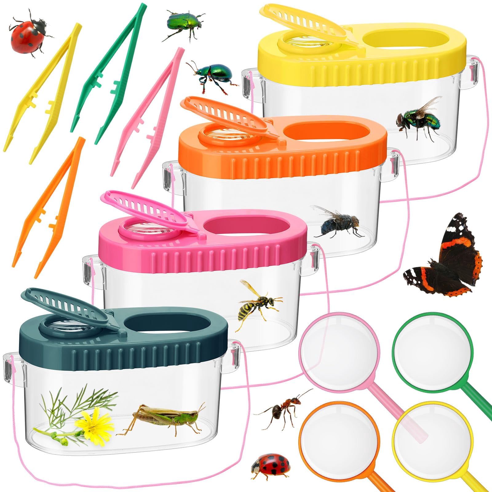 4 Sets Bug Collection Kit For Kids, Explorer Outdoor Kit With Bug ...