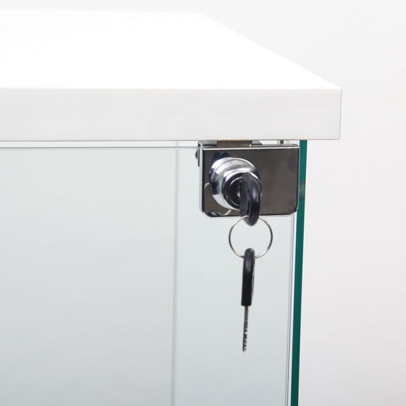 4-Shelf Glass Bookshelf with Door | Great for Living Spaces to Showcase Artwork and Decorations