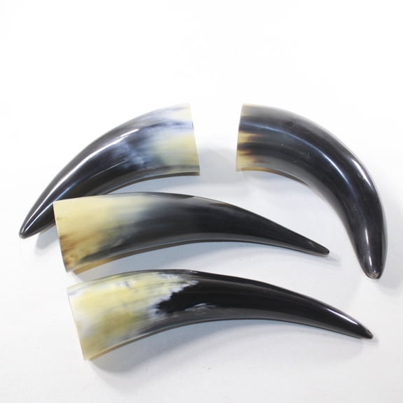 4 Small Polished Cow Horns #0029 Natural colored