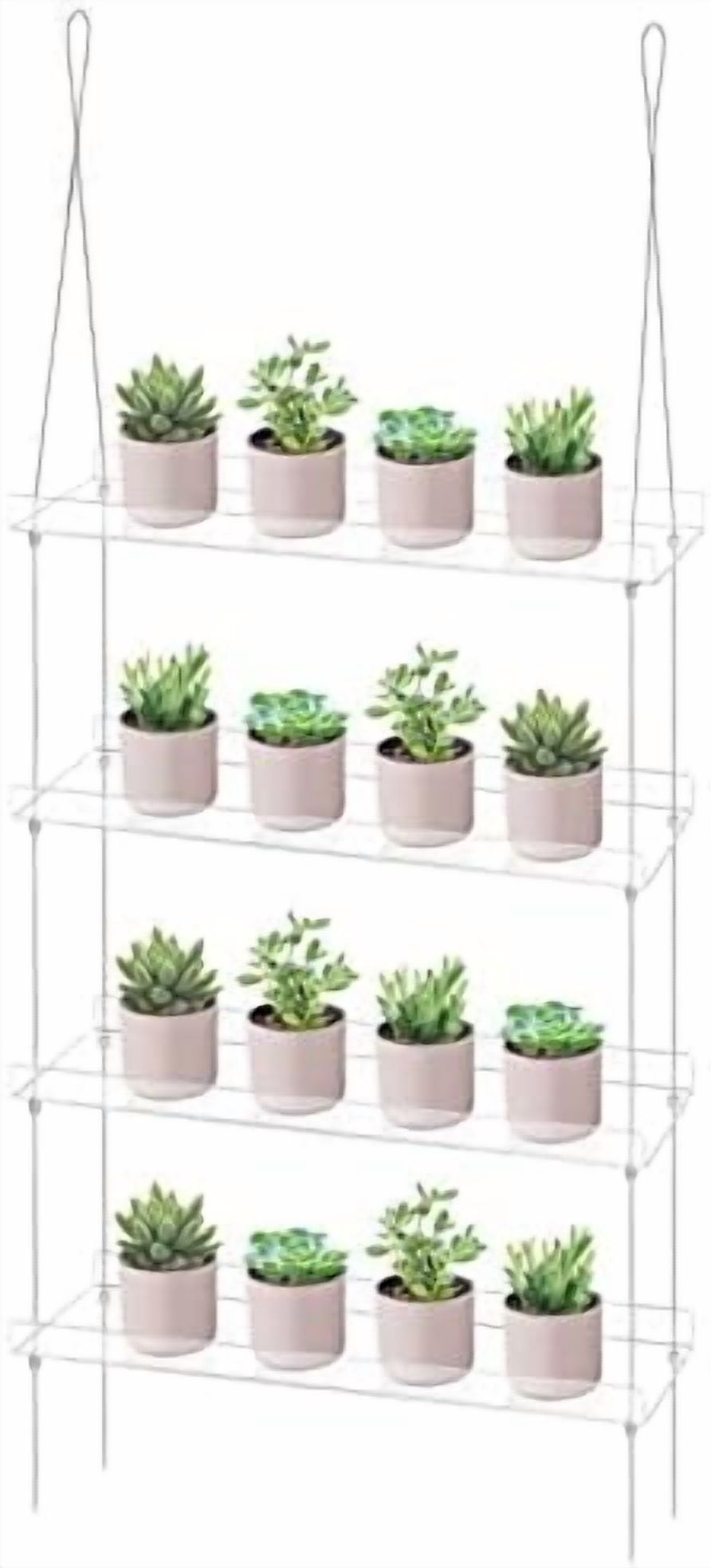 4 Tier Acrylic Window Boxes Plant Shelves for Windows, Hanging Shelves ...