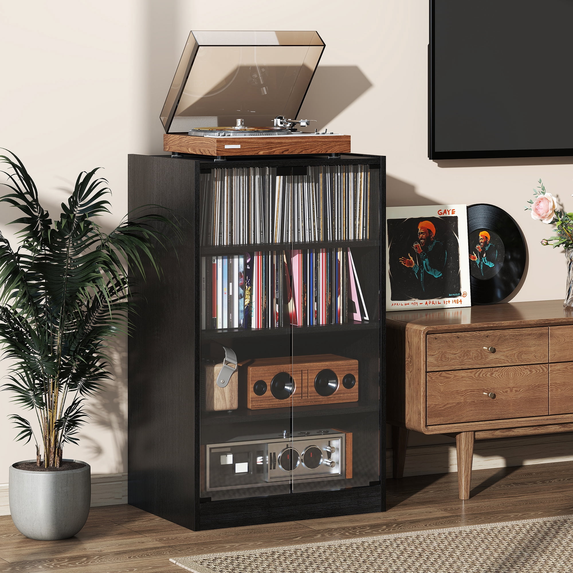 Audio Racks for Media Storage and Display