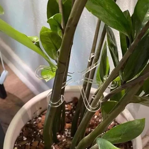 4-Tier Plant Display Rack, Sturdy Frame for Heavy Loads, Quick Tool-Free Assembly for Home or Office(transparent,1set)