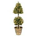 thumbnail image 1 of 4' Tifton Two Ball Topiary Dura-Lit® 200 Clear Lights, 1 of 4