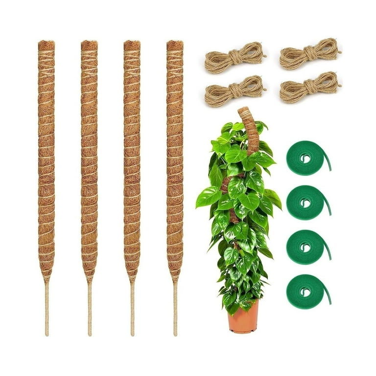 4 Tutor Kits for Plants, Tutor for Climbing Plants for Monstera