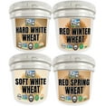 thumbnail image 1 of Certified Glyphosate Residue Free Wheat Berries | 100 LBS | Hard White, Soft White, Hard Red Winter, Hard Red Spring Wheat Berries [25 lbs each], 1 of 9