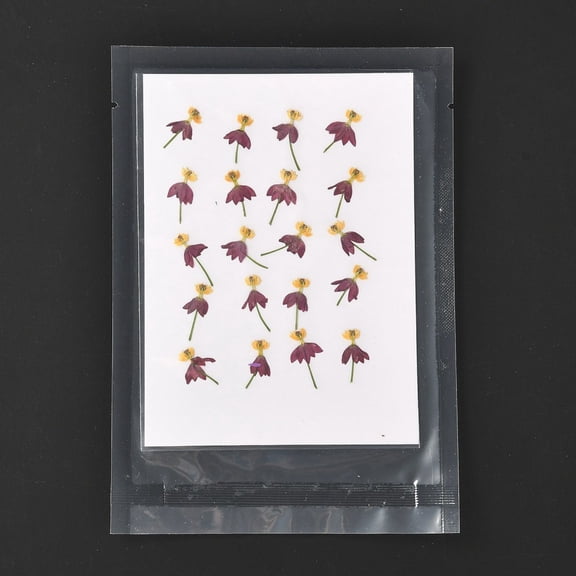 4 bag Blood-flower Milkweed Pressed Dried Flowers for Cellphone Photo Frame Scrapbooking DIY Handmade Craft Medium Violet Red 18~22x10~13mm 20pcs/bag
