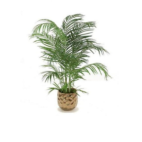 4 ft. Areca Palm in Large Burnt Gold Gabi Planter, Green