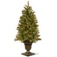 thumbnail image 1 of National Tree Company Pre-lit Feel Real® Artificial Christmas Tree, Green, Downswept Douglas Fir Entrance Tree with Clear Lights, 4 Feet, 1 of 4