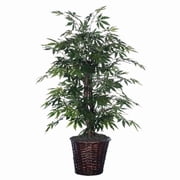 4 ft. Japanese Maple Bush