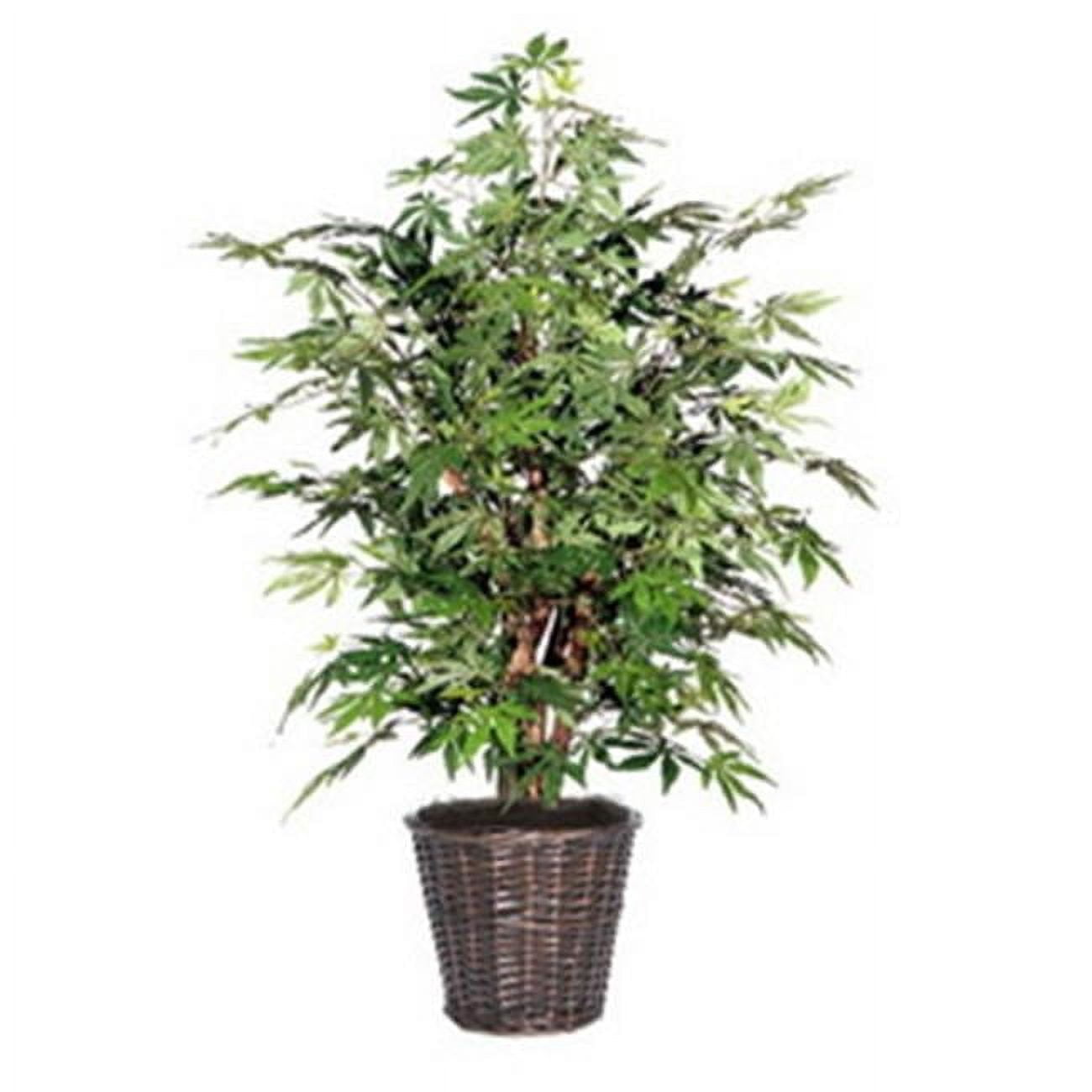 59" Outdoor Silk Japanese Maple Bush in Black Plastic Pot