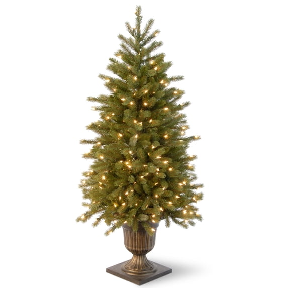 National Tree Company 4 ft. Jersey Fraser Fir Entrance Tree with Clear Lights