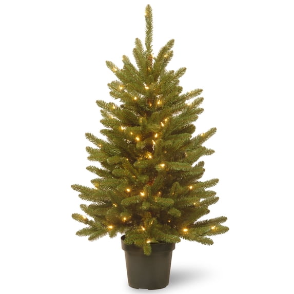 National Tree Company 4 ft. Kennsington Tree with Clear Lights