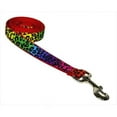 thumbnail image 1 of 4 ft. Leopard Dog Leash, Rainbow - Small, 1 of 1