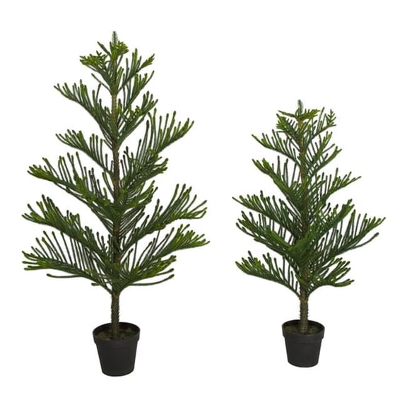 4 ft. Norfolk Pine Trees, Green