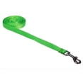 thumbnail image 1 of 4 ft. Nylon Webbing Dog Leash, Neon Green - Extra Small, 1 of 1