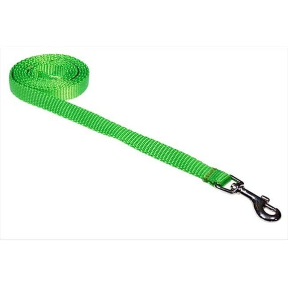 4 ft. Nylon Webbing Dog Leash, Neon Green - Extra Small