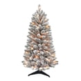 4 ft. PreLit Flocked Carson Pine Artificial Christmas Tree