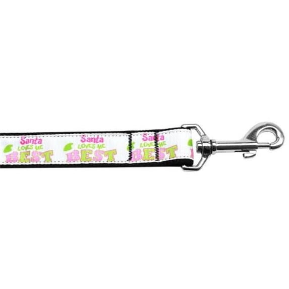 4 ft. Santa Loves Me Best Nylon Dog Leash