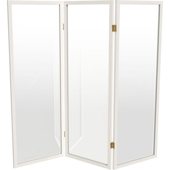 4 ft. Short Clear Plastic Partition White 3 Panel - Walmart.com