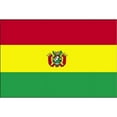 thumbnail image 1 of 4 ft. X 6 ft. Nyl-Glo Bolivia Civil Flag, 1 of 1